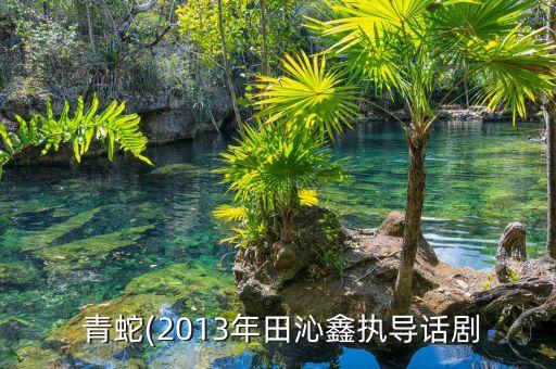 青蛇与白蛇 中国好舞蹈,舞蹈青蛇与白蛇舞林争霸