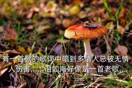 乌兰托雅的舞蹈,乌兰图雅歌曲