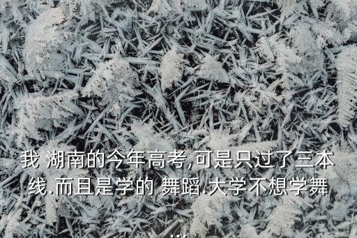 湖南舞蹈专科