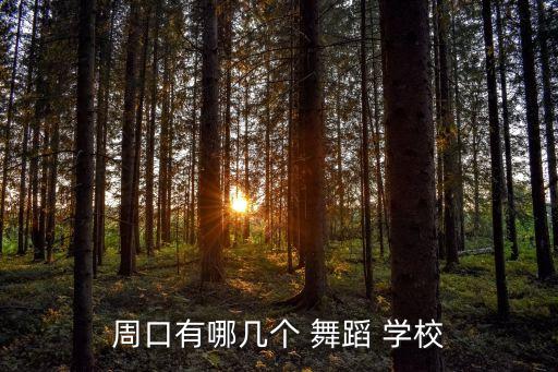 淮滨舞蹈学校哪家好,淮滨足尖点点舞蹈学校