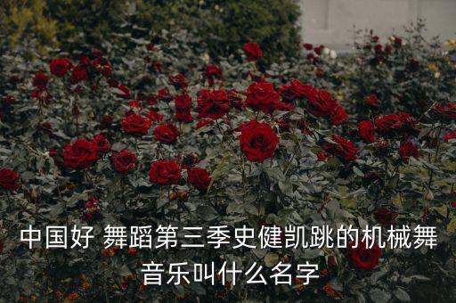 中国好舞蹈里面的音乐,中国古代音乐与舞蹈