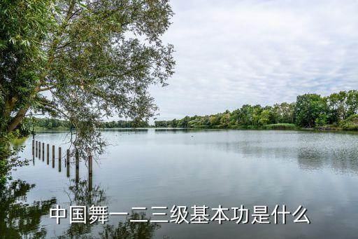 舞蹈1级教学内容,幼儿舞蹈启蒙班教学内容