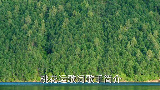 桃花运舞蹈视频