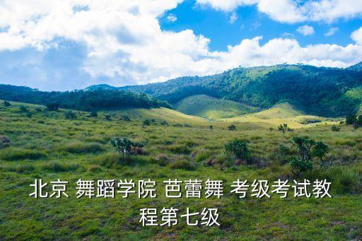 中国芭蕾舞蹈考级,芭蕾舞蹈考级证书有几种 哪个最权威