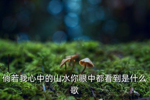 白月光与朱砂痣的手势舞蹈