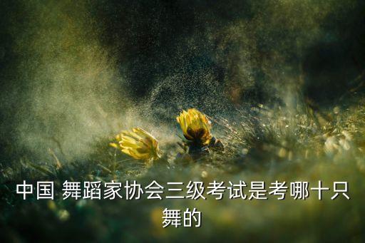 三字经一舞蹈考级视频