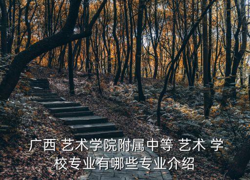 广西舞蹈艺术学校,广西艺术学校舞蹈录取分数线是多少