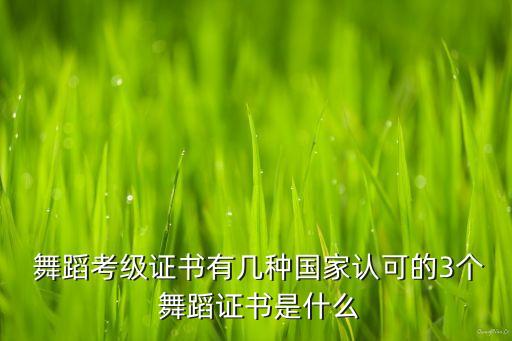 中国歌剧舞剧院领舞蹈