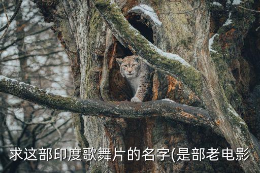 国外舞蹈摄影大片