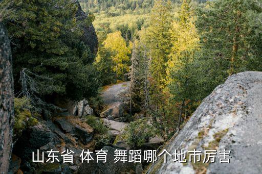 济南体育舞蹈比赛2020,济南弘毅体育舞蹈学校
