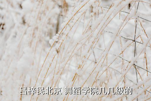 2016国内舞蹈,吉林艺术学院2016舞蹈