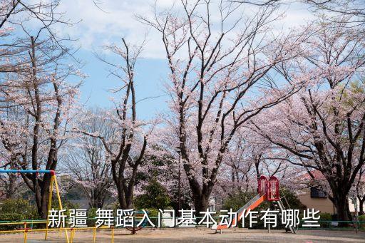 新疆男女双人舞蹈,新达坂城的姑娘男女双人舞蹈