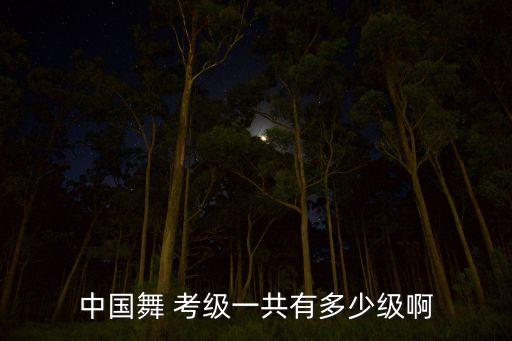 中国舞蹈学院考级六级