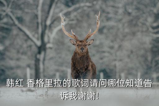 香格里拉的思念舞蹈,八级考级舞蹈香格里拉