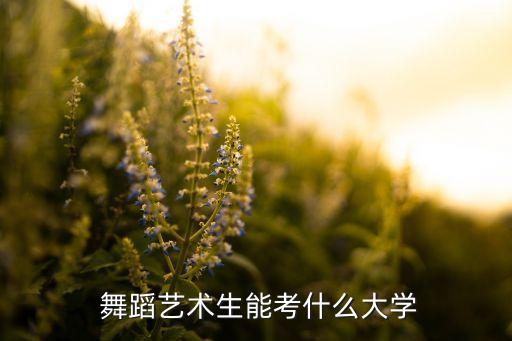 北舞民族舞蹈北风吹,民族舞蹈北风吹教学