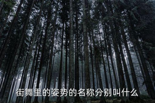 转手舞蹈动作叫什么,胸前转手的舞蹈动作