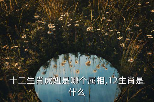 舞蹈虎妞音乐,虎妞舞蹈的故事背景