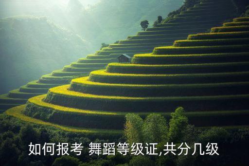 北京舞蹈学院 芭蕾08级
