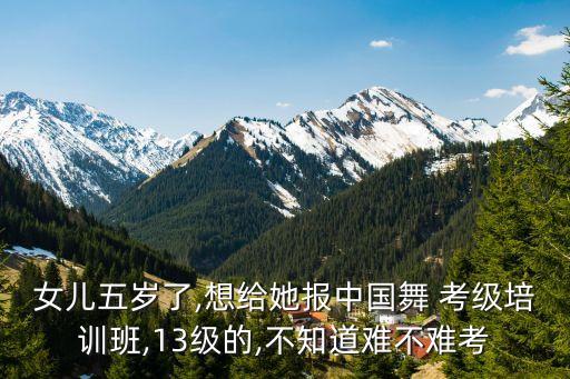 zizi芭蕾舞蹈考级
