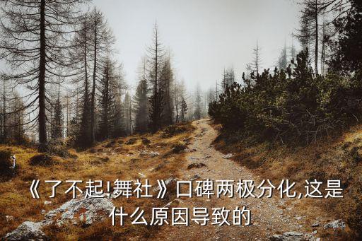 舞蹈节目网站,程潇参加的舞蹈节目