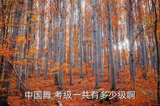 舞蹈考级九级,留连戏蝶舞蹈考级九级