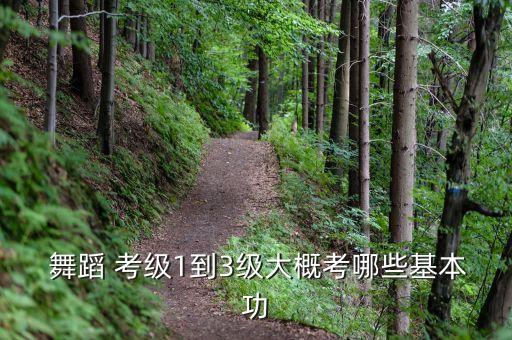 中国考级舞蹈三级舞蹈,中国舞考级舞蹈视频大全