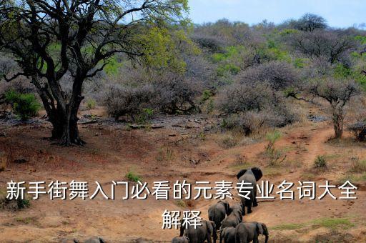 儿童舞蹈基础术语,儿童hiphop舞蹈基础教学