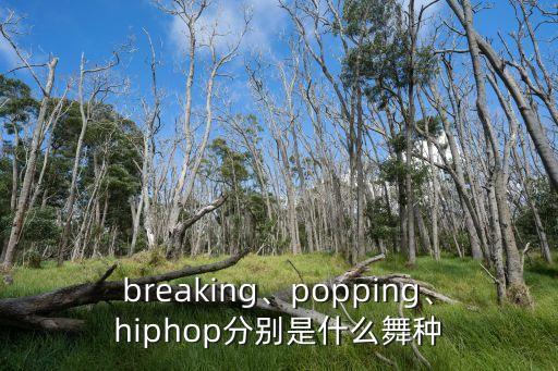 嘻哈的舞蹈,嘻哈舞蹈基本入门动作