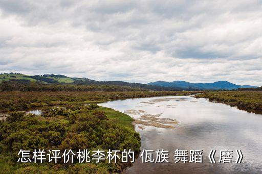 佤族舞蹈介绍