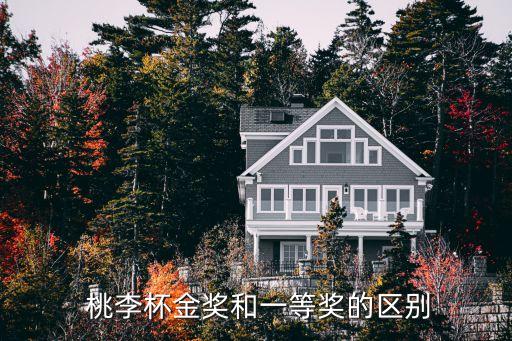 宝宝舞蹈桃李杯,月之花语舞蹈桃李杯