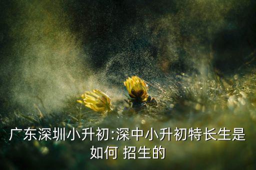 舞蹈班招生方案,新开的舞蹈班招生方案