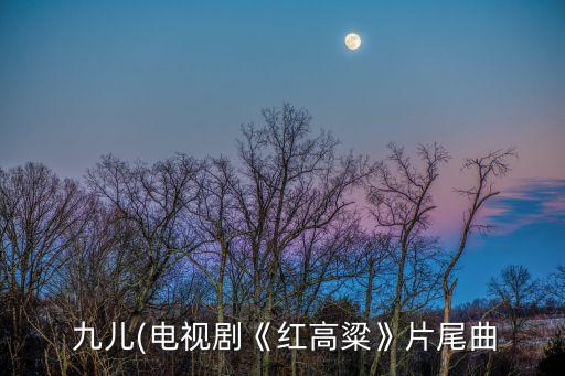 舞蹈《九儿》文字教案,上海舞蹈学院舞蹈《九儿》