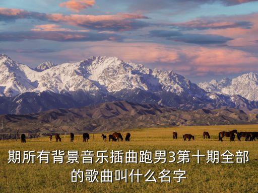 奔跑吧兄弟简单的舞蹈