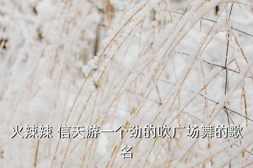《信天游》舞蹈视频,钢琴《信天游》教学视频