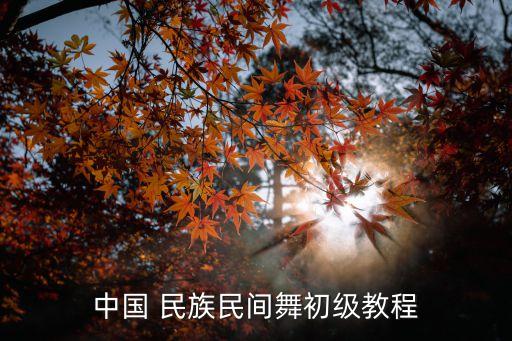 民族舞蹈转视频教学,壮族民族舞蹈视频