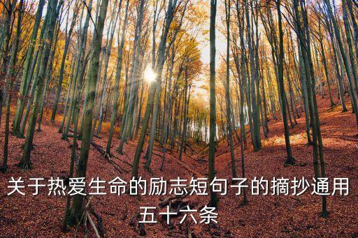 爱我一点好不好舞蹈,就给我一次好不好