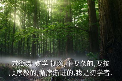 on镜面舞蹈教学视频,声声慢镜面舞蹈教学视频