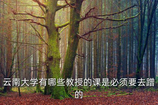 水冰舞蹈教学视频第一套,双人水冰舞蹈教学视频