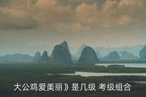 中国舞蹈家协会考级济南