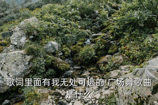 苗民族舞蹈广场舞,广场舞山路十八弯民族舞蹈视频教学