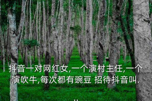 招待原版舞蹈视频,严正花招待舞蹈教学视频