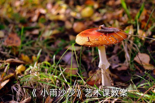 舞蹈教学视频小雨点