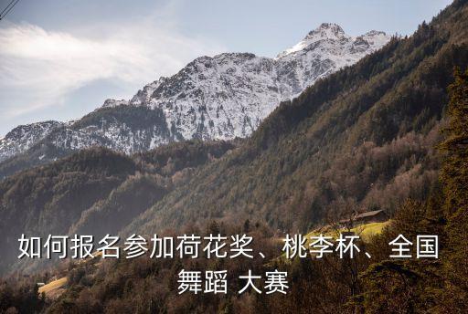 舞爱中华舞蹈大赛收费,母亲是中华舞蹈视频大赛