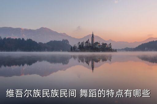什么是维族舞蹈视频,娃哈哈维族舞蹈视频
