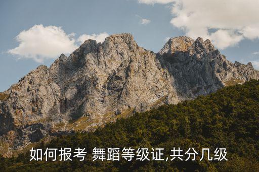幼儿舞蹈考试流程,幼儿等级舞蹈考试