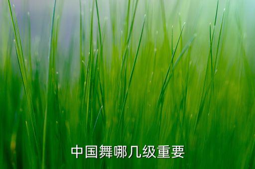 中国舞十一级考级舞蹈