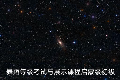舞蹈课测评表