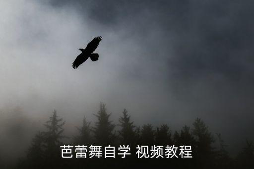 中国民族民舞舞蹈视频,中国不同民族的舞蹈