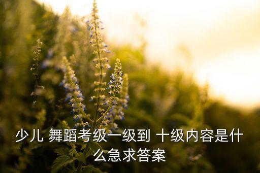 中国舞蹈一至十级,华彩中国舞蹈十级
