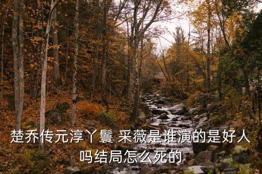 采薇舞蹈演员身高,舞蹈演员冯英身高多少